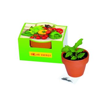 Naschgemüse-Töpfchen Paprika