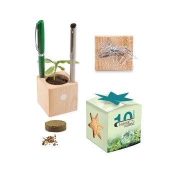 Pflanz-Holz Büro Star-Box mit Samen, 2 Seiten gelasert