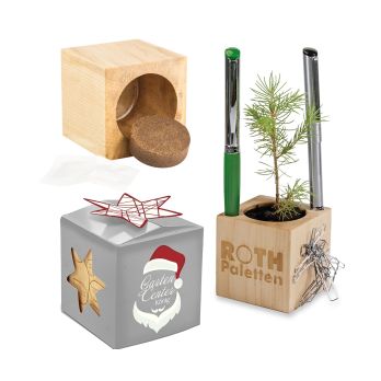 Pflanz-Holz Büro Star-Box Xmas mit Fichtensamen
