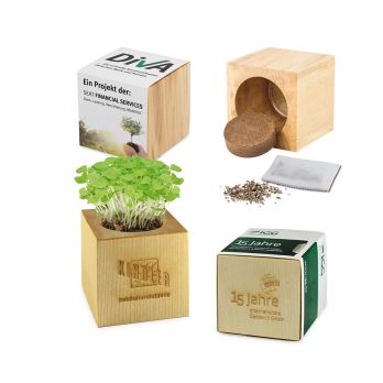 Pflanz-Holz Maxi mit Samen
