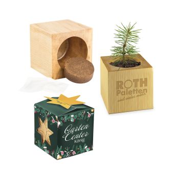Pflanz-Holz Maxi Star-Box Xmas mit Fichtensamen, 2 Seiten gelasert