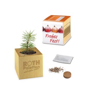 Pflanz-Holz Maxi Xmas mit Fichtensamen, 2 Seiten gelasert