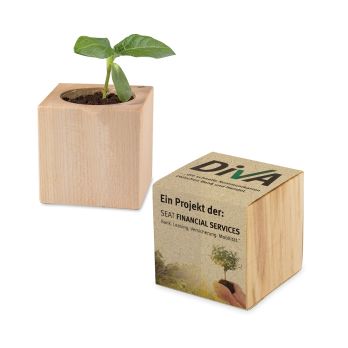 Pflanz-Holz mit Samen, 1 Seite gelasert (Graspapier-Banderole)