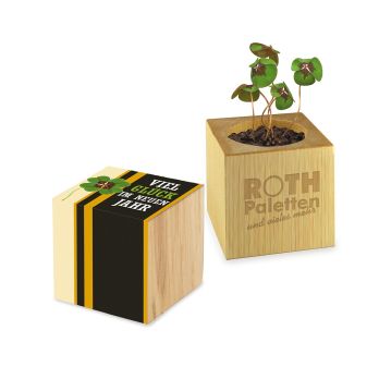 Pflanz-Holz - Standardmotiv - Glücksklee, 2 Seiten gelasert