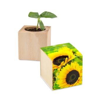 Pflanz-Holz - Standardmotiv - Sonnenblume, 2 Seiten gelasert