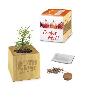 Pflanz-Holz Maxi Xmas mit Fichtensamen, 1 Seite gelasert