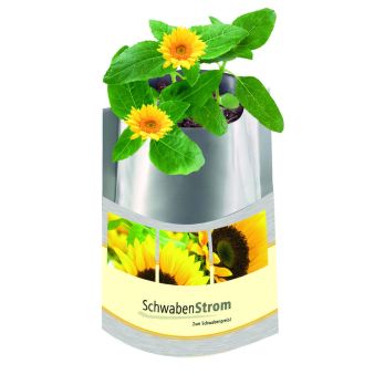 Plant-Bag Sonne