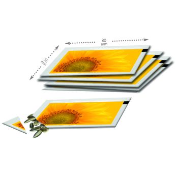 Samentütchen Zwergsonnenblume 80 x 55 mm