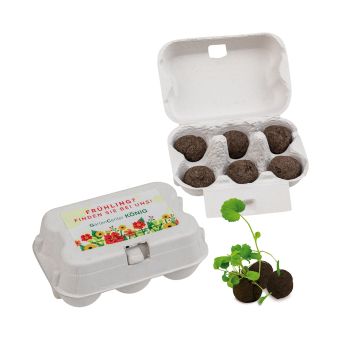 Sixpack - Flower-Ball Midi mit Samen