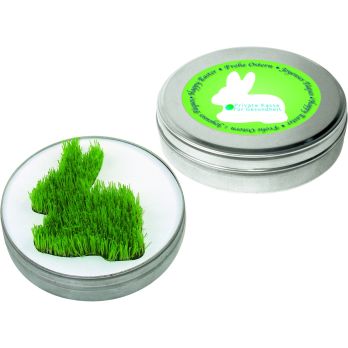 Wachsender Hase aus der Dose
