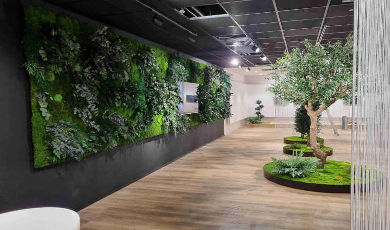 Grüne Wand und Große Pflanzen für Messen und Events Grüne Wand und Große Pflanzen für Messen und Events