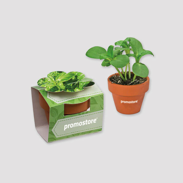 Pflanzen & Blumen mit Logo bedrucken Pflanzen & Blumen mit Logo bedrucken